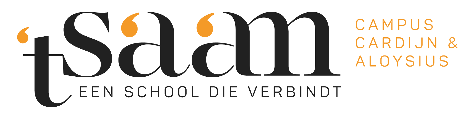 logo 't Saam