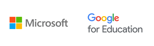 ms-googleFE