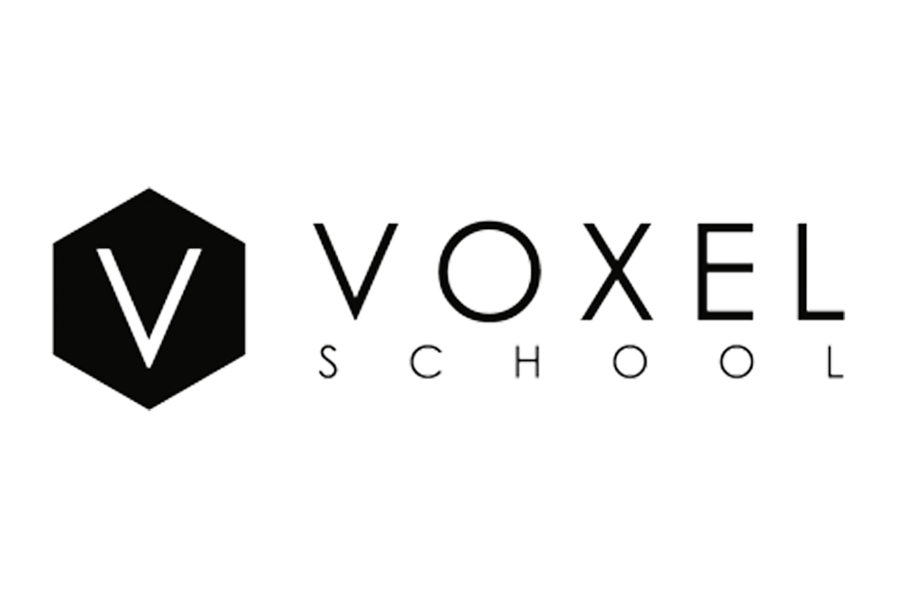 voxel-1